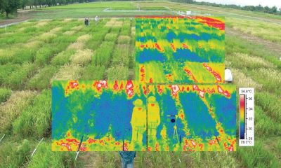 Crop Analysis - Top 10 Best Thermal Drones