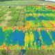 Crop Analysis - Top 10 Best Thermal Drones